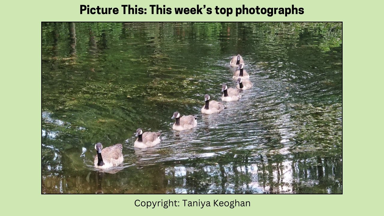 Picture This: This week’s top photographs!