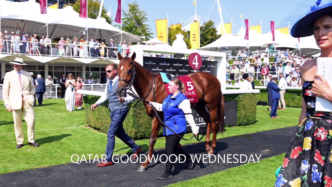 Glorious Goodwood 2024 in 193 pictures by Malcolm Wells