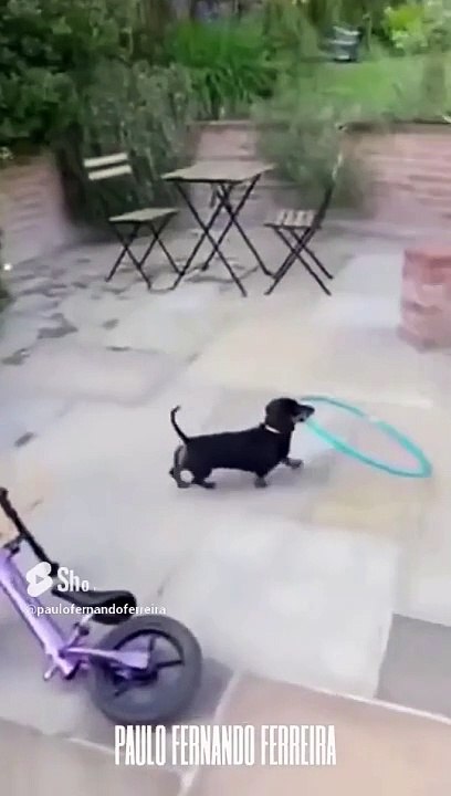 Smart
