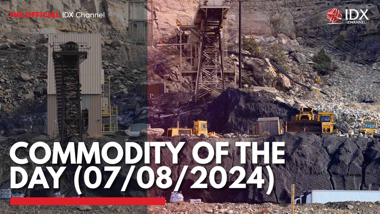 Commodity of the Day (07/08/2024)