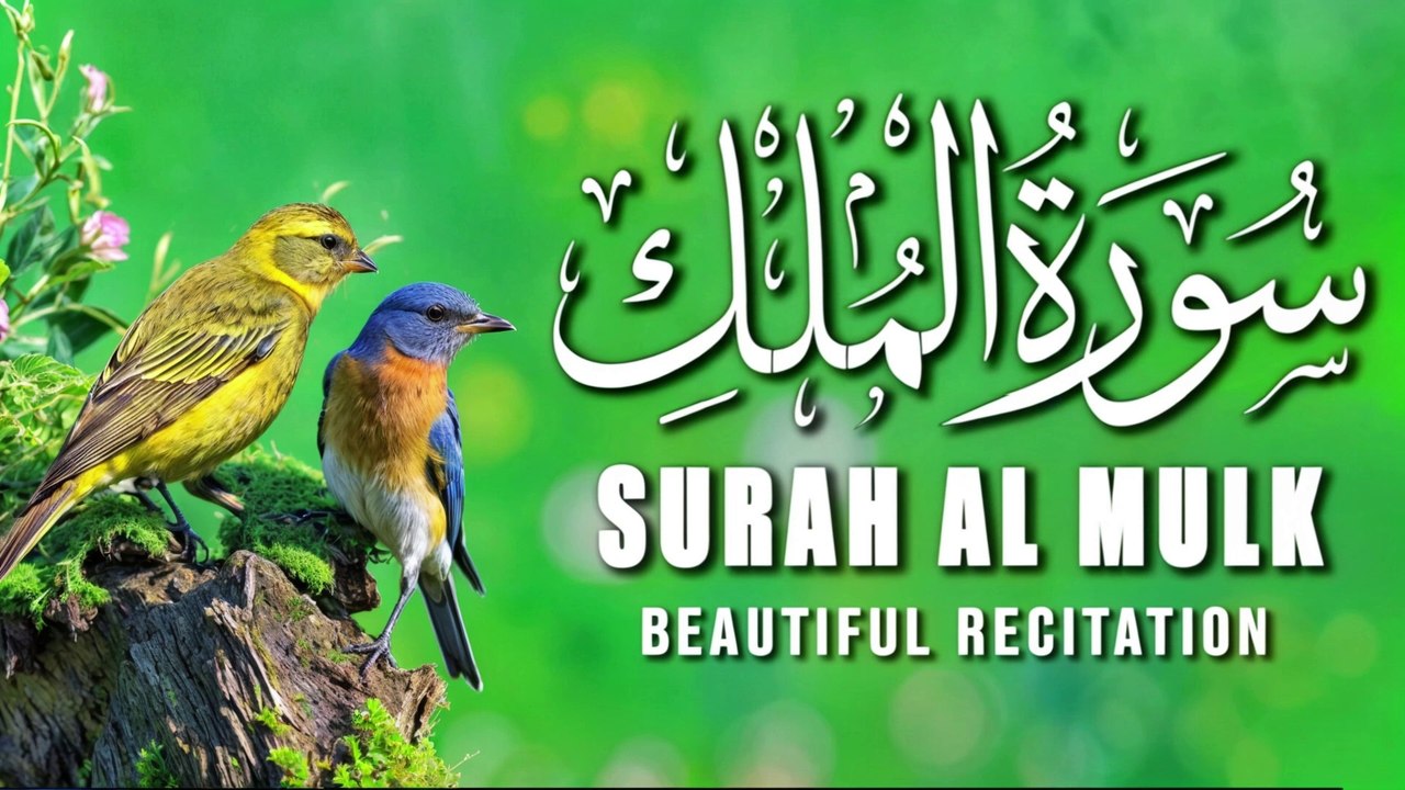 Calming And Beautiful Recitation Of  Surah Al Mulk  |  سورة الملك  |Tilawat e Quran | Al Quran