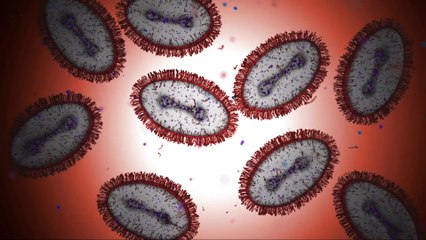 Una nueva cepa más letal de virus de la viruela del mono alerta a la OMS