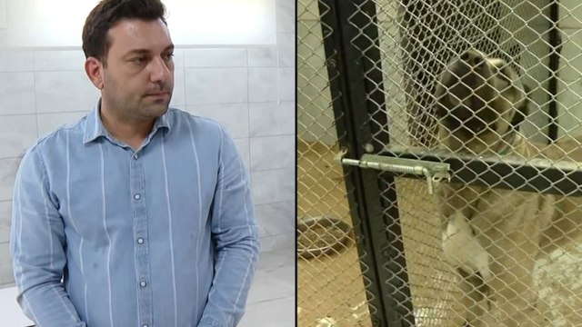 Türkiye'nin gündemine oturmuştu: Sözcü, Niğde'deki o barınağa girdi!