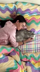 And who would you save cat cats