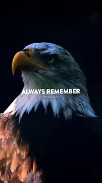 Sigma rule I WhatsApp status I Motivational quotes #shorts #attitude #sigmarule