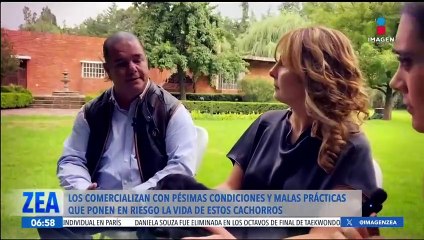 Marlene Stahl visita un criadero de labradores en el Estado de México