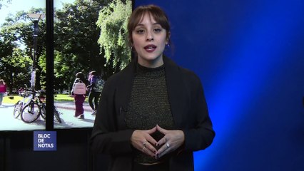 Bloc de notas - Resumen Semanal - Programa 279