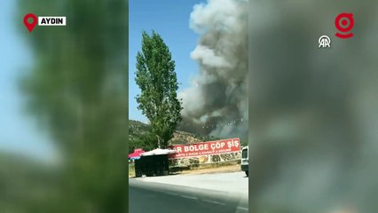 Germencik'te zeytinlik ve ormanlık alanda çıkan yangına müdahale ediliyor