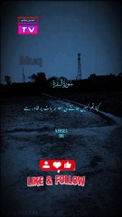 Tilawat Quran Urdu Tarjuma Surah Al Baqarah