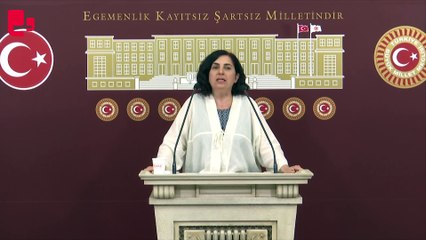 DEM Partili Sevilay Çelenk’ten Instagram yasağına dair açıklama