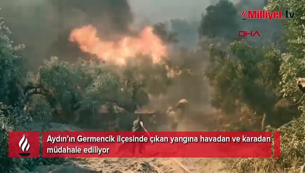 Aydın'da orman yangını! Rüzgarla hızla yayıldı, yerleşim yerlerine ulaştı