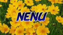 NENU- (Myself)
