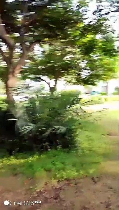 Park