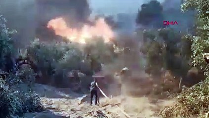 Aydın, Balıkesir ve Muğla’da yangın! Alevler yerleşim yerlerine ulaştı