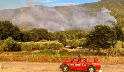 Incendi nel Casertano: distrutte decine di ettari di boschi tra Sessa Aurunca e Cascano (07.08.24)