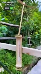 A_Story_of_Husband_Wife__~_Funny_video_#shorts_#botnetwork_#comedy(360p)