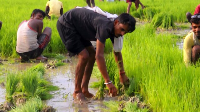 Manoj Katwaliya New Heart Tuching Story 2024