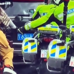 good life - compilation of funny video