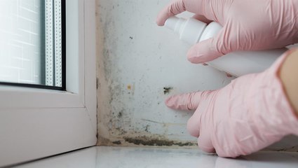 How to Get Rid of Mold Smells in Your Home