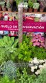 Plantas carnívoras y orquídeas en el Festival de Flores de Verano