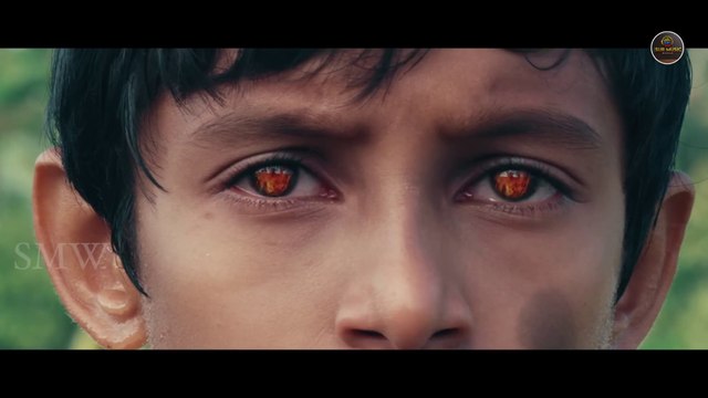 Stree 2 : Sarkate ka Atank | Rajkummar Rao, Shradhha Kapoor, Tamannah Bhatia | Pankaj Tripathi, Aparshakti Khurana | Latest Bollywood Full Movie 2024