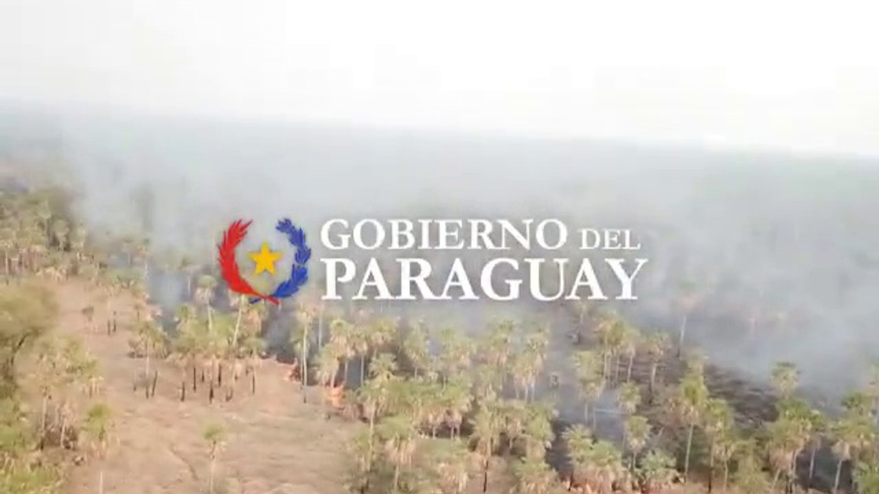Más de 50.000 hectáreas afectadas por incendios forestales en el norte del Chaco paraguayo