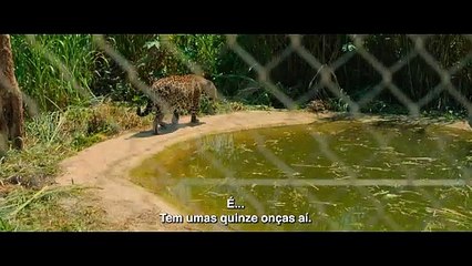 O Clube das Mulheres de Negócios Trailer Oficial