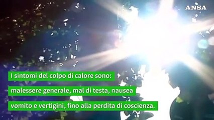 Il colpo di calore puo' far collassare il fegato, ecco come