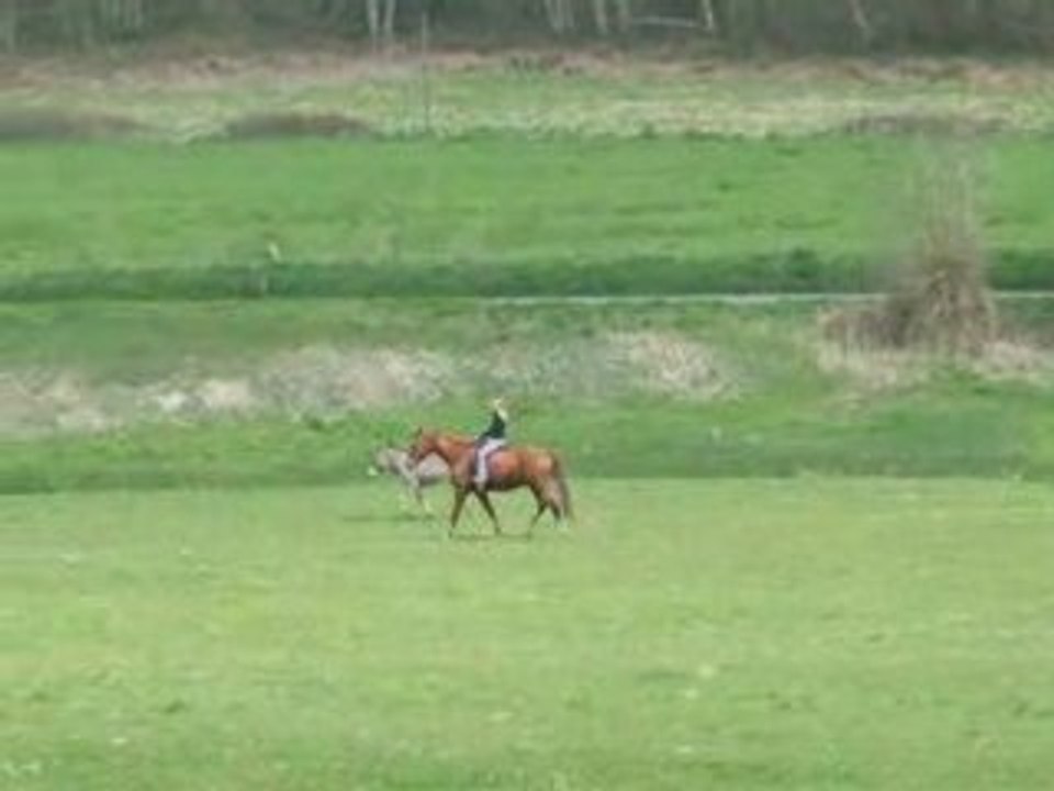 13 avril 2008 balade amadeus moi helene