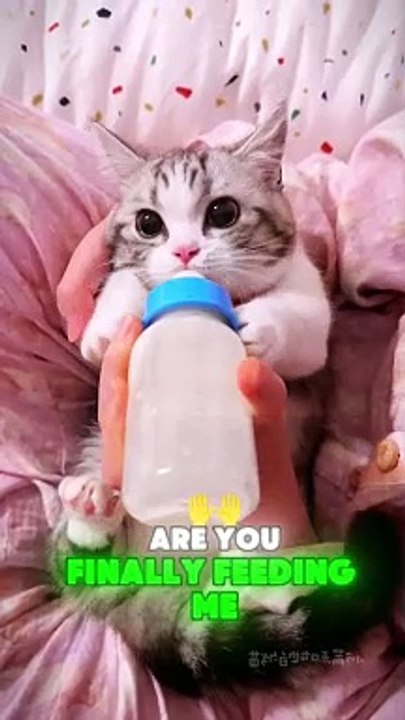 It's my MILK 
