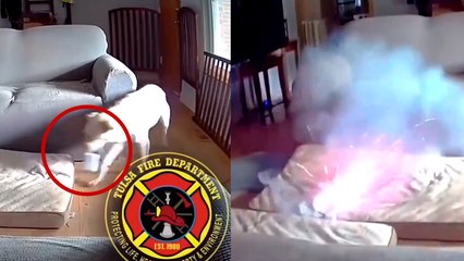 Estados Unidos: Perro provoca incendio tras morder una batería de litio en Tulsa, Oklahoma