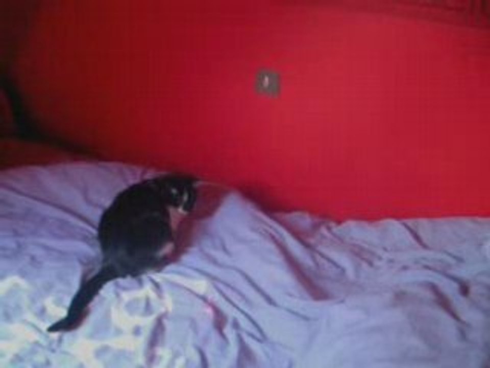 Réglisson et le Laser