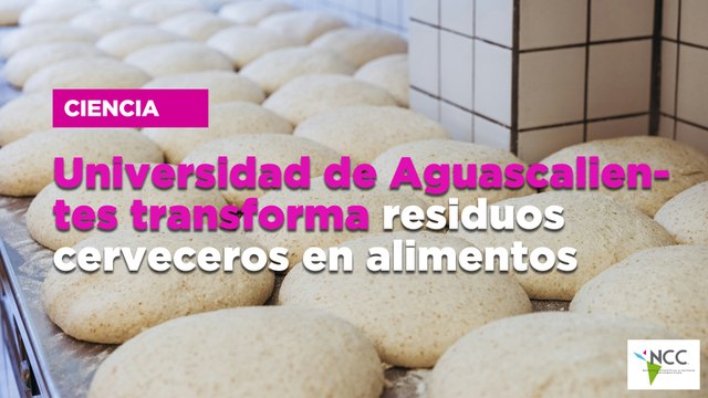 Universidad de Aguascalientes transforma residuos cerveceros en alimentos