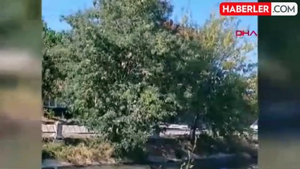 Eskişehir'de Sulama Kanalında Cansız Beden Bulundu