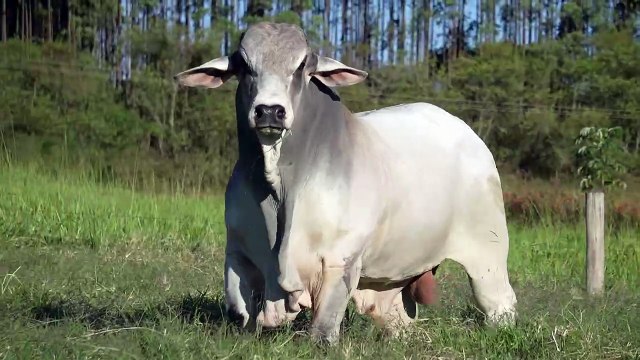 Mr W2R 1310 > WRRB-1310