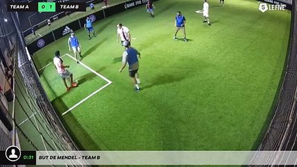 But de Mendel - Team B