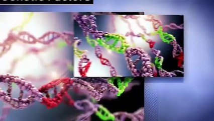 Neurotonix Real User Feedback and Results ⚠️