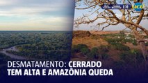 Desmatamento na Amazônia diminui 45,7%; Cerrado em alerta