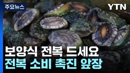 보양식 전복 드세요...전복 소비 촉진 앞장! / YTN