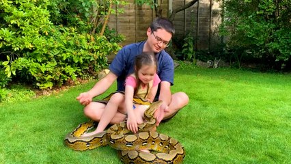 Little Girl Grows Up With Two Python BFFs
