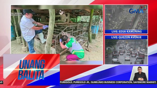 Emergency procurement ng mga bakuna kontra ASF, pinaghahandaan ng Department of Agriculture | Unang Balita