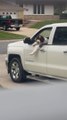 Dog Looks out of Car Window While Owner Reverses his Car