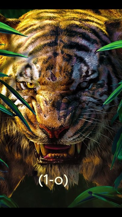 Clash of the Centuries! For Dominance! #animals #tiger #wolf #viral