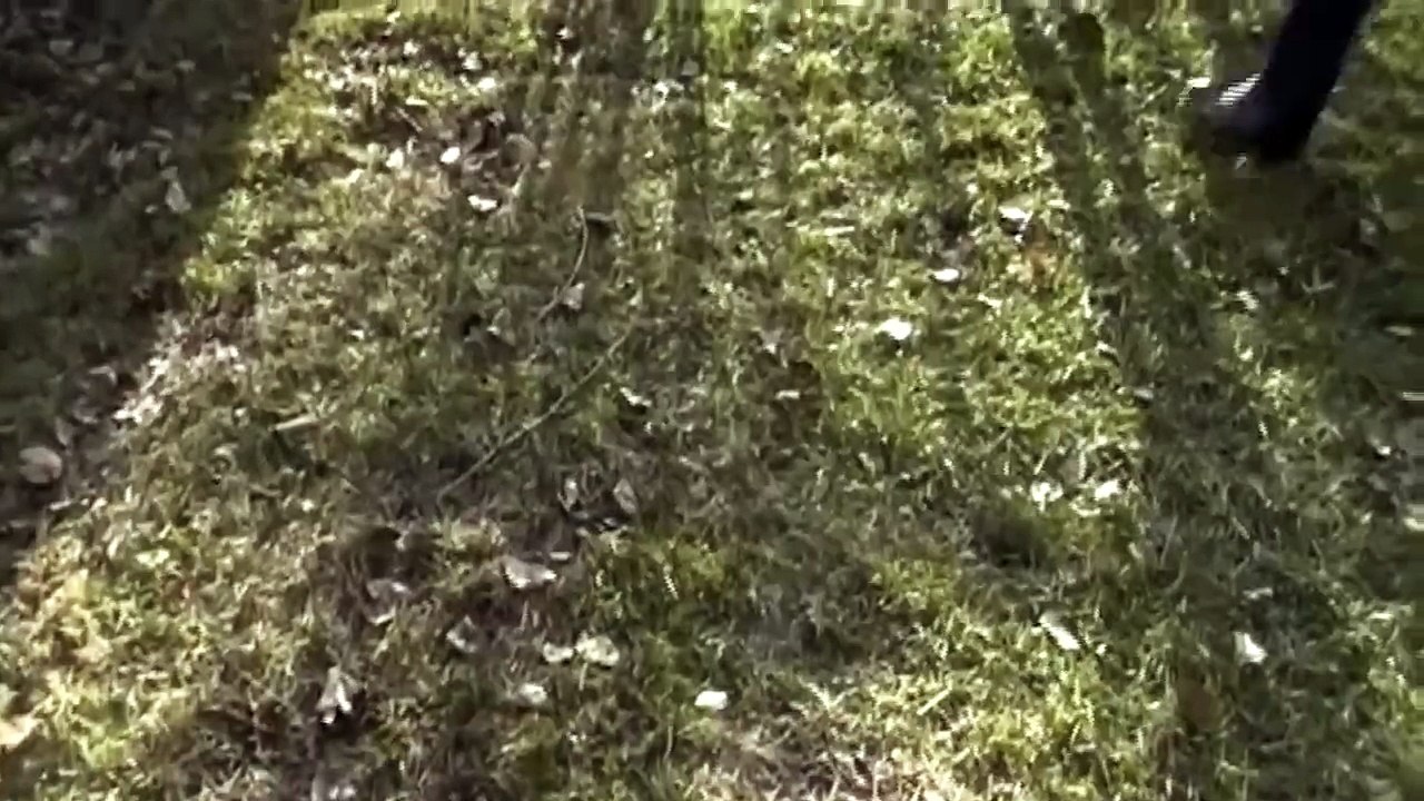 Wendigo Montana | movie | 2019 | Official Teaser