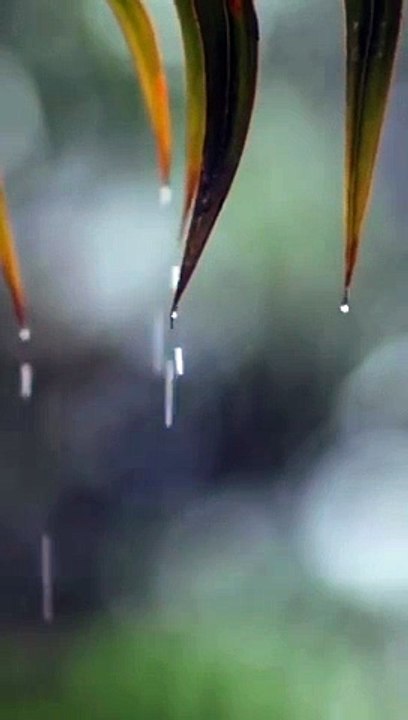 Beautiful Relaxing Piano Music with Rain Sounds  You & Me