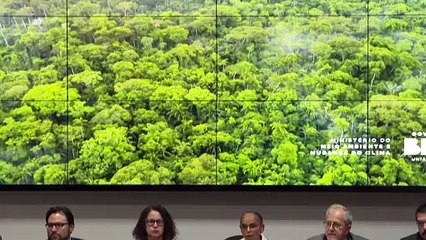 Deforestación de la Amazonía brasileña registra primer aumento en 15 meses