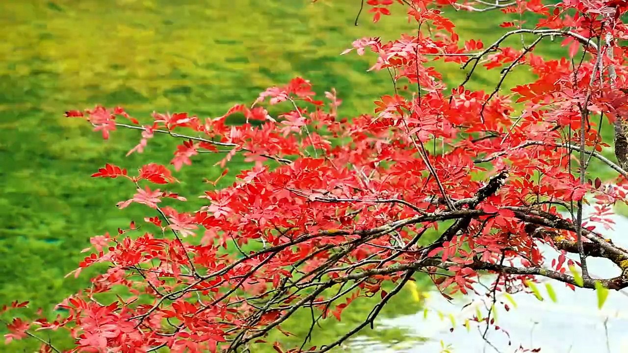 2 Underrated Places in China, That are amazingly beautiful