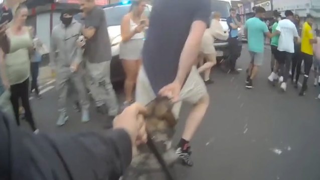 Watch: Rioter bitten on backside by police dog after telling officers ‘I pay your wages’