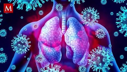 El virus sincicial afecta la salud respiratoria; te decimos quiénes tienen mayor riesgo de contagio