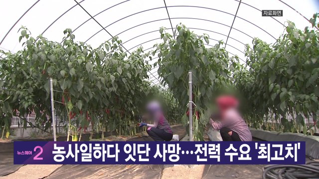 [YTN 실시간뉴스] 농사일하다 잇단 사망...전력 수요 '최고치' / YTN